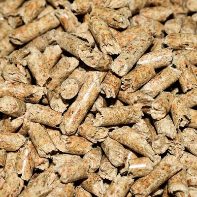 Auch Haushalte die mit Pellets heizen, sollen rckwirkend fr das Jahr 2022 eine Entlastung erhalten knnen