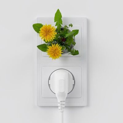 Das Bild zeigt eine Zweifach-Steckdose. In der einen Steckdose befindet sich ein Kabel, aus der anderen wächst Löwenzahn.