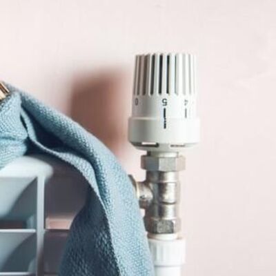 Das Bild zeigt ein Heizk�rperthermostat mit einer Decke.